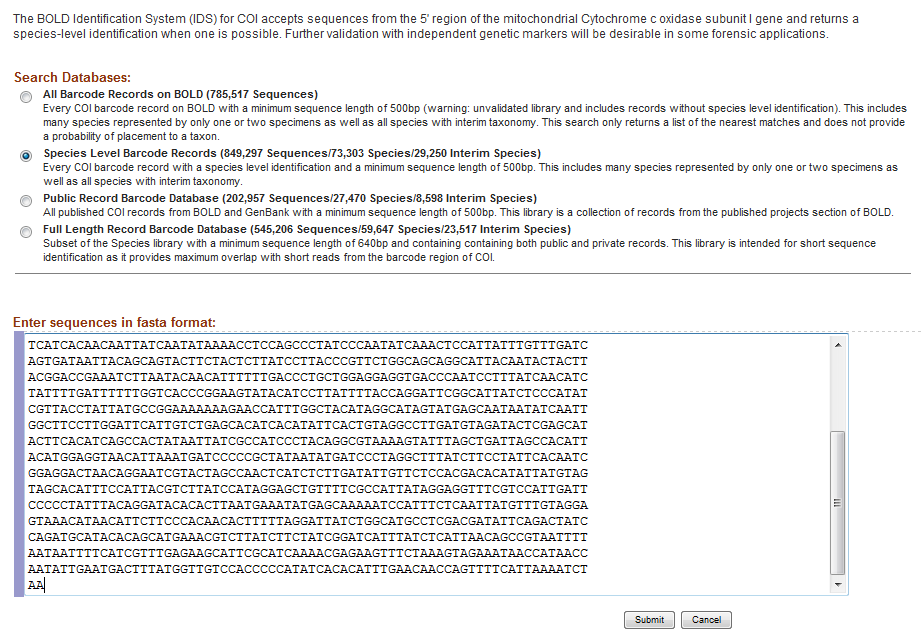 BOLD sequence identification search