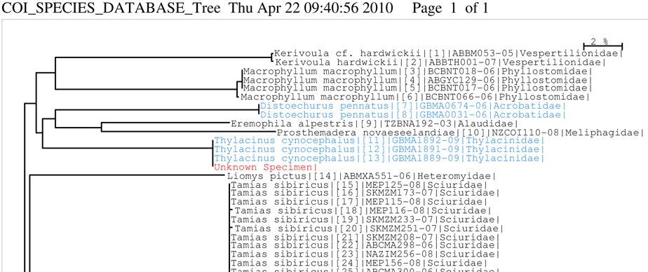 BOLD tree output